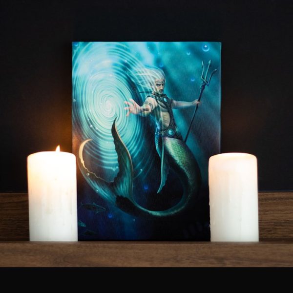 19x25cm Water Element Wizard Canvas Plaque by Anne Stokes - Image 4