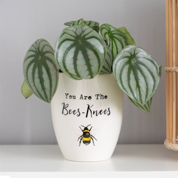 You Are the Bees Knees Ceramic Plant Pot - Image 3