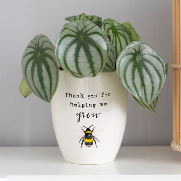 Thank You For Helping Me Grow Ceramic Plant Pot - Image 3