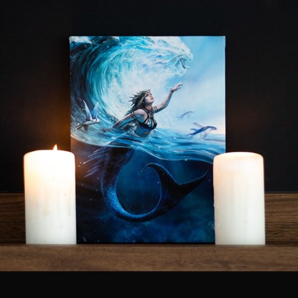 19x25cm Water Element Sorceress Canvas Plaque by Anne Stokes - Image 4