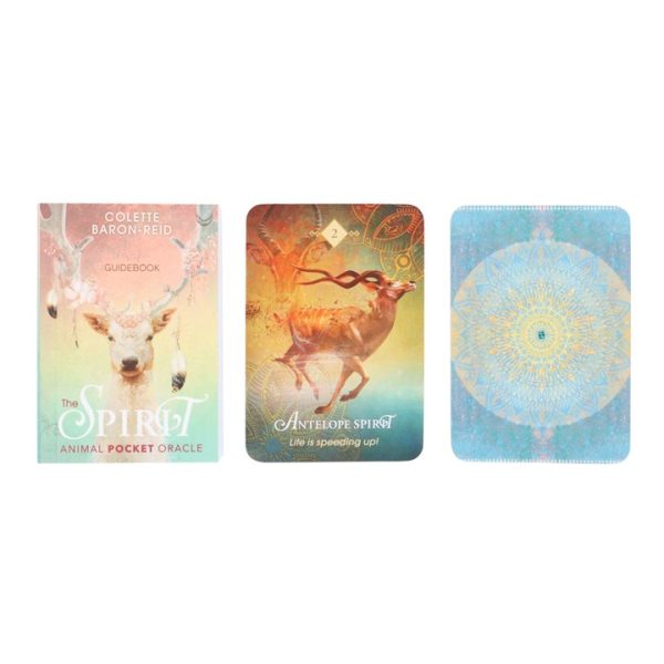 The Spirit Animal Pocket Oracle Cards - Image 3