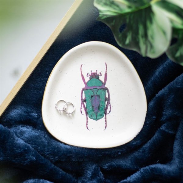 Off White Beetle Trinket Dish - Image 4