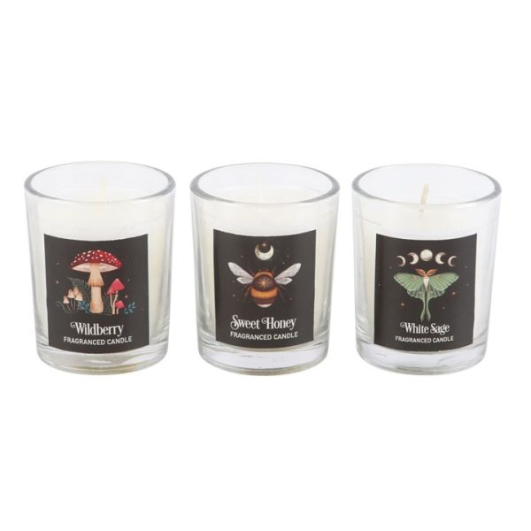 Dark Forest Votive Candle Trio - Image 4