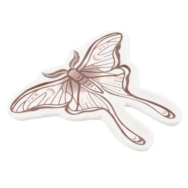 Luna Moth Trinket Dish - Image 3