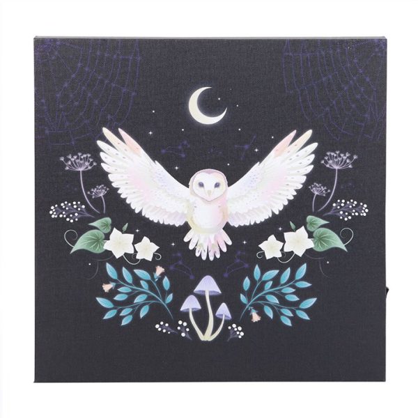 Night Owl Light Up Canvas Plaque - Image 2