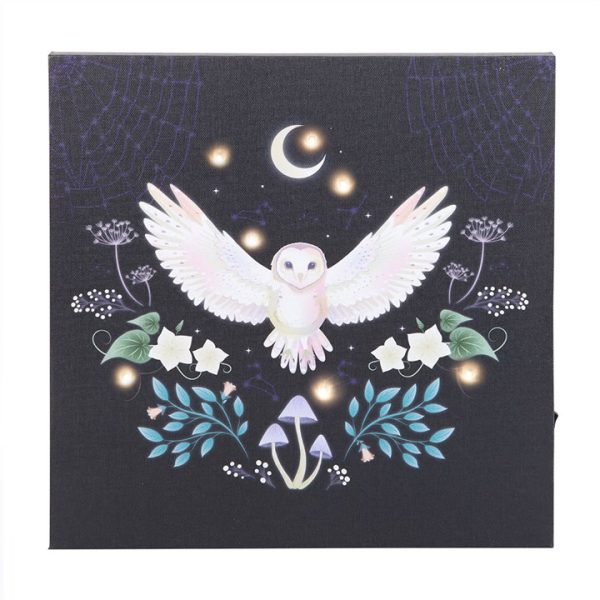 Night Owl Light Up Canvas Plaque - Image 3