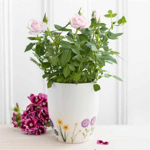 Wildflower Ceramic Plant Pot - Image 5